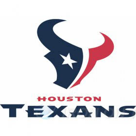 Houston Texans Iron-on Stickers (Heat Transfers)NO.535